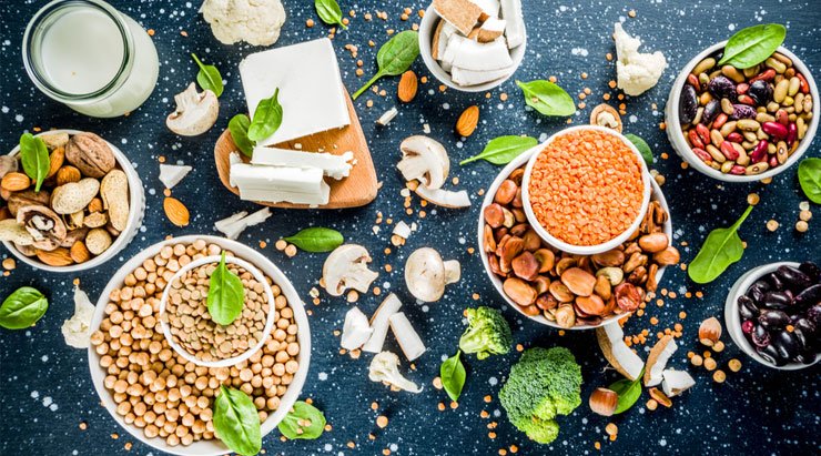 How Much Protein Does Your Body Require In a Day?	